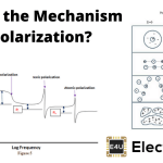 Mechanism of Polarization What Is The Mechanism Of Polarization