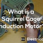 Squirrel Cage Induction Motor: Working Principle & Applications What is a Squirrel Cage Induction Motor